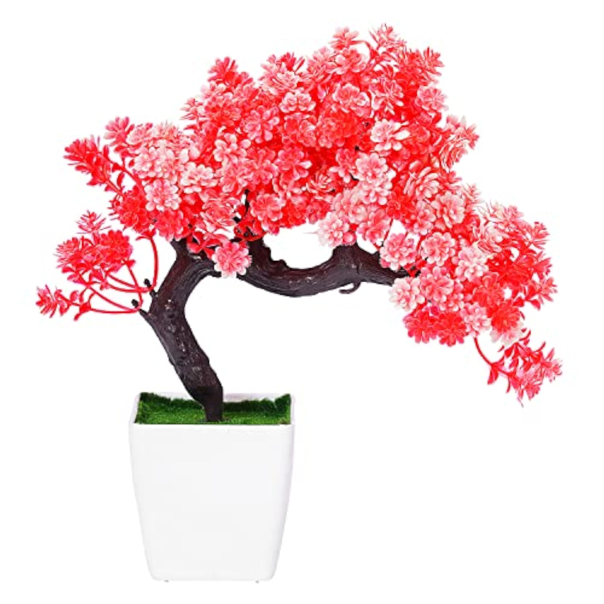 Colourful Wild Bonsai Plants With Pot for Home Decor